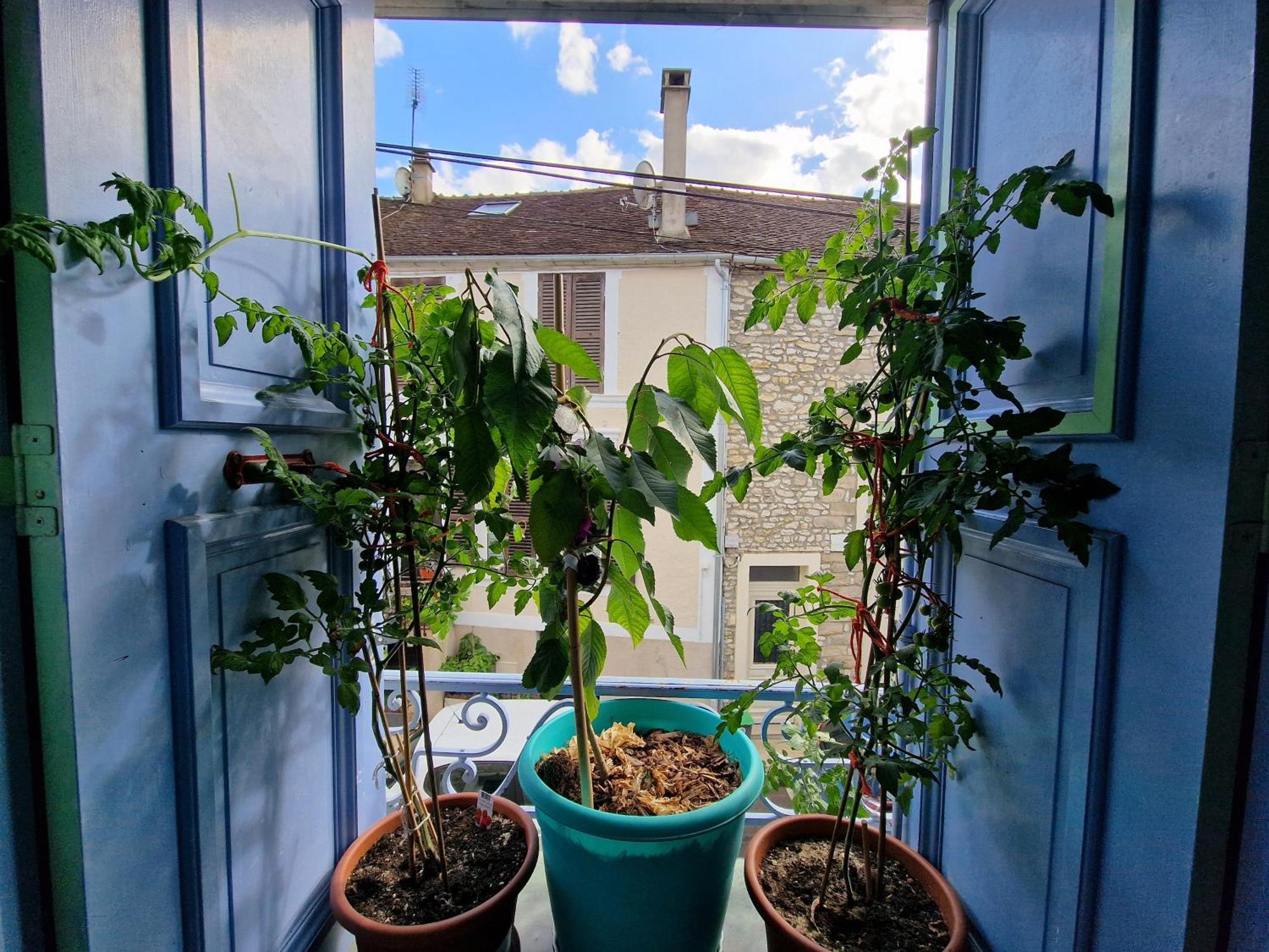 Chez Mamichou Διαμέρισμα Moret-sur-Loing Εξωτερικό φωτογραφία